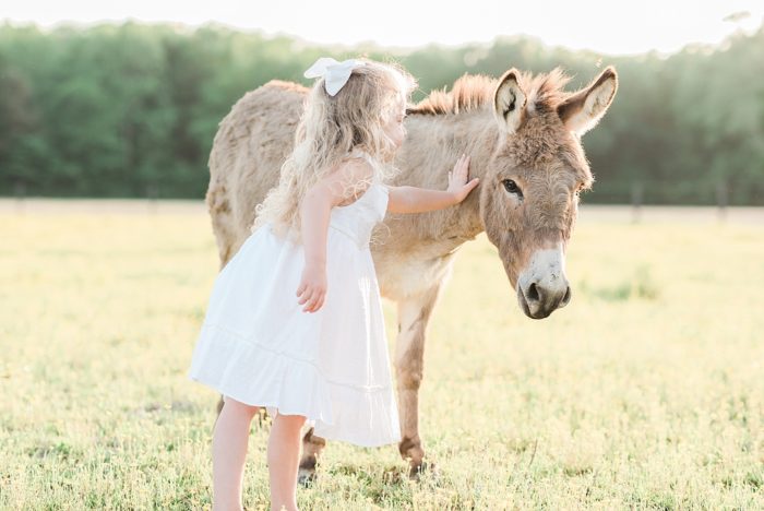 girl with mini donkey equine photography