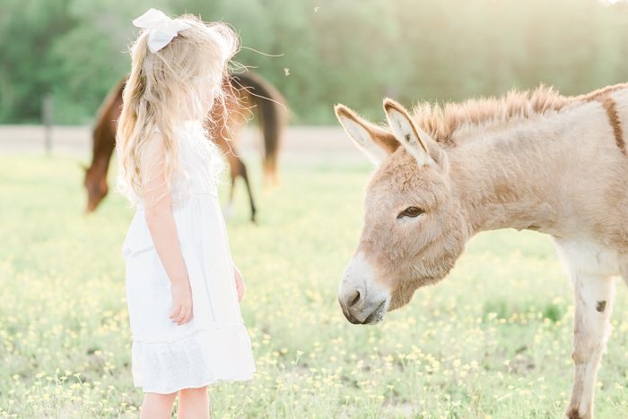 girl with mini donkey