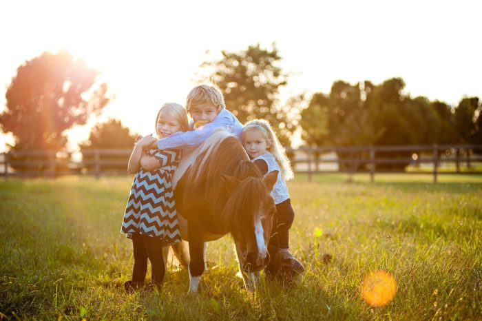 the hawleys equine portrait session in virginia