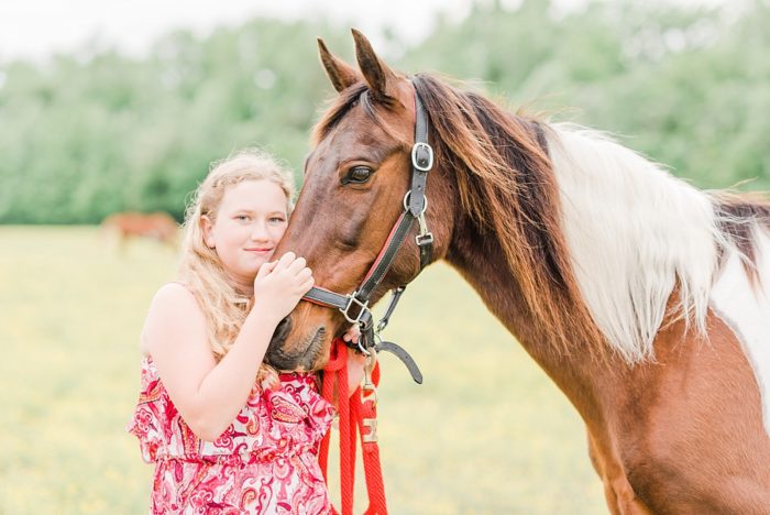 portraits with your horse in field of buttercups