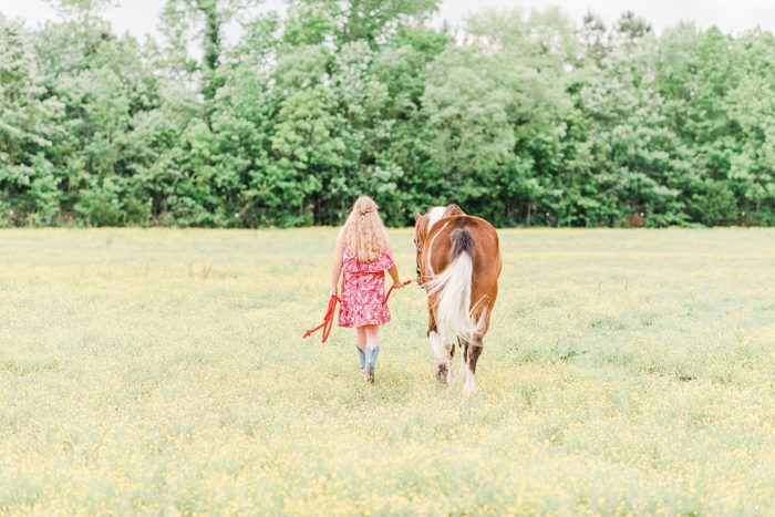 girl walking horse in field of buttercups