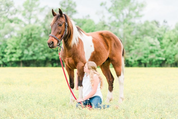 girl hugging horse's leg in a field of buttercups