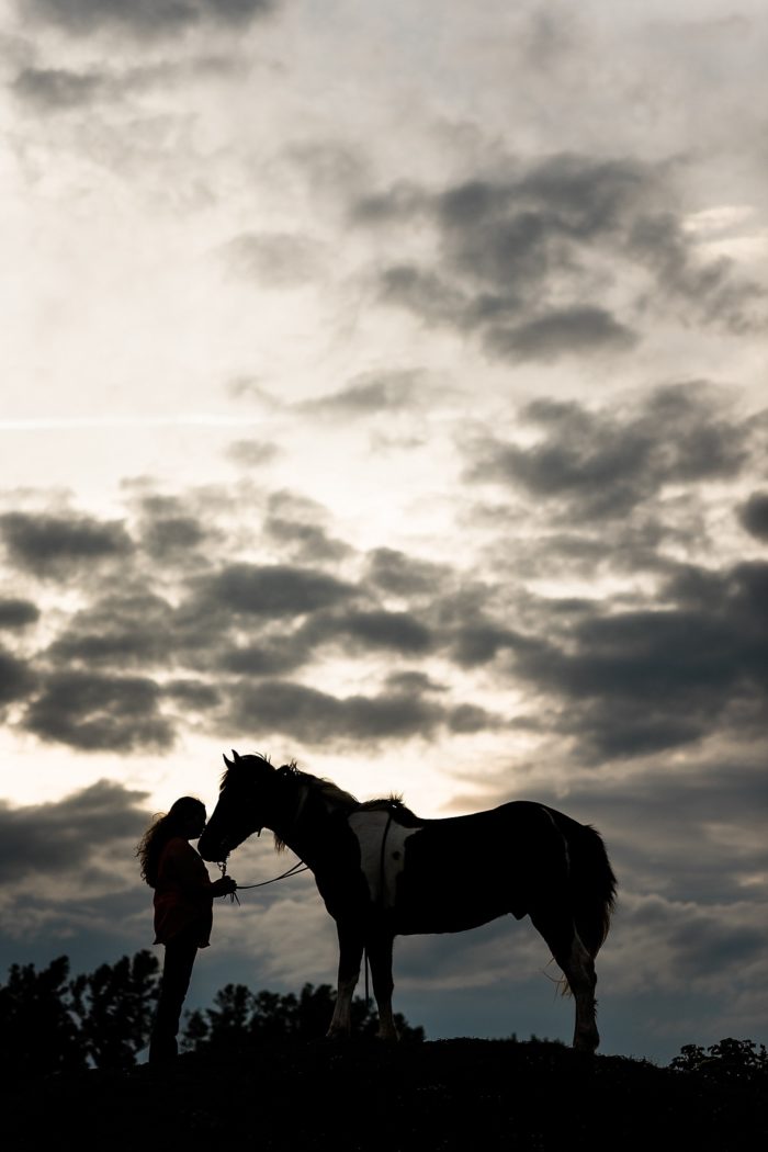 silhouette of girl and her horse