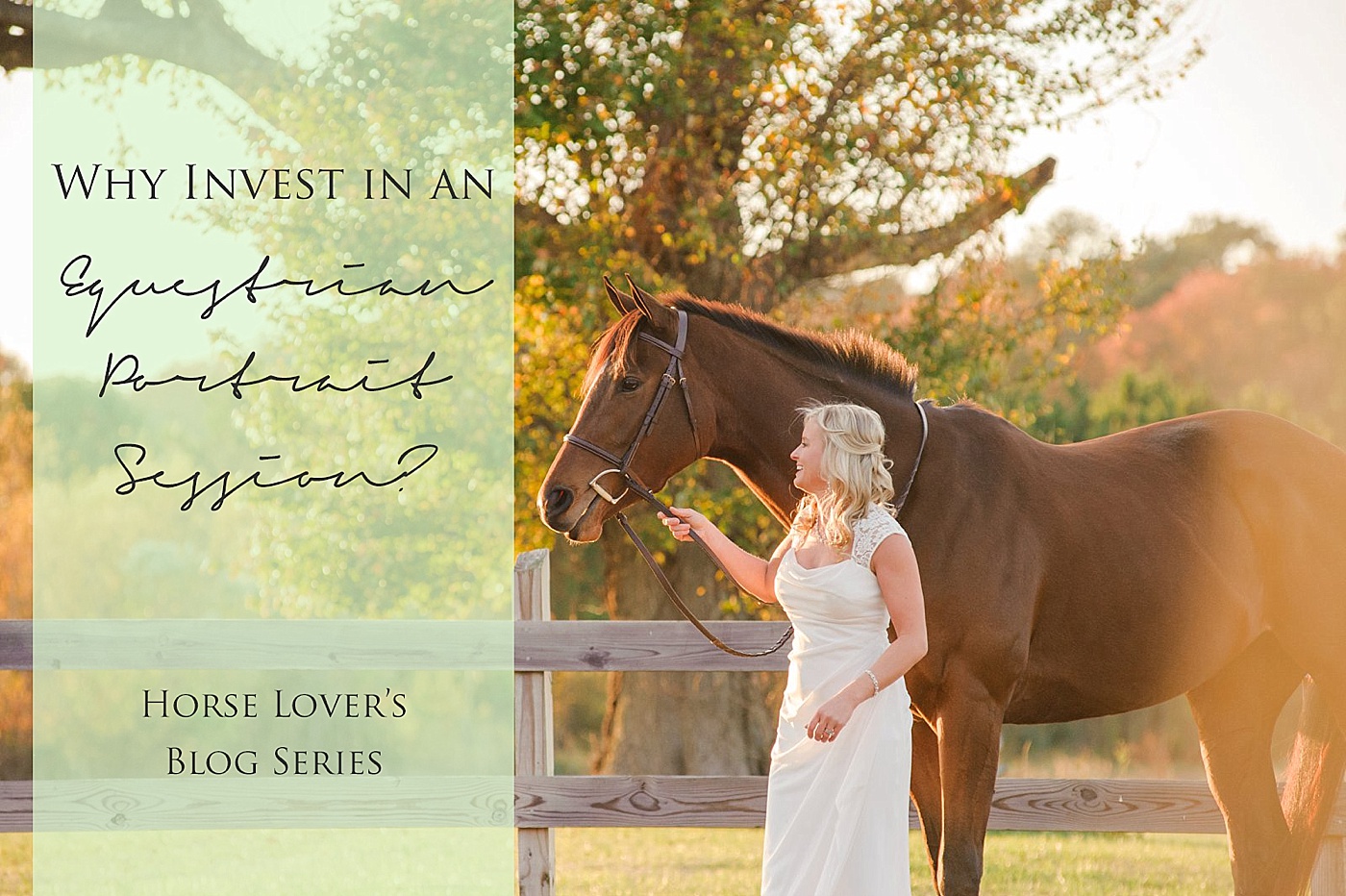 why invest in equestrian portraits