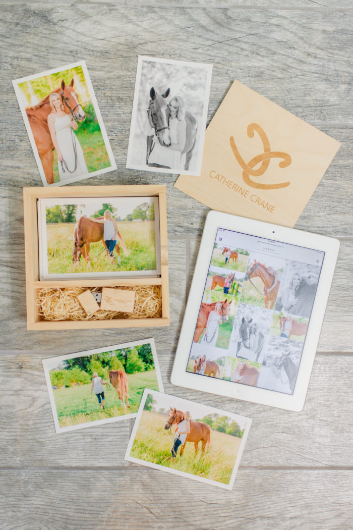 lisa's equestrian session goodies fine art equine photography
