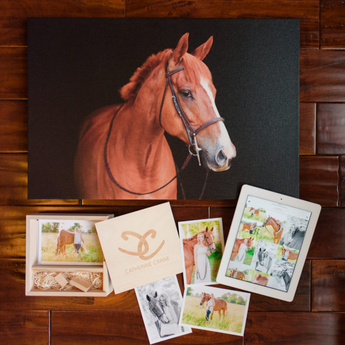 lisa's equestrian session goodies fine art equine photography