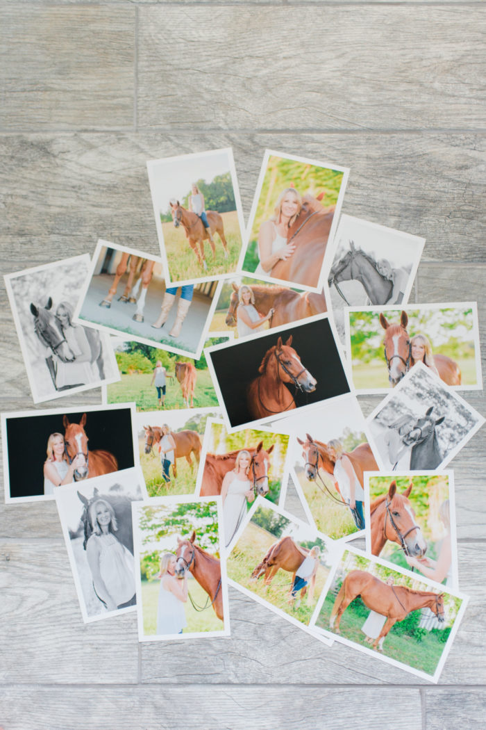 equine photography proof prints