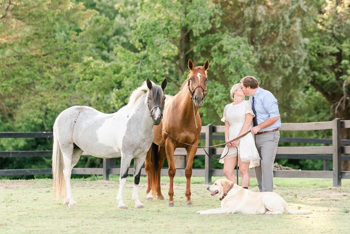 portraits with bride groom horses and dogs