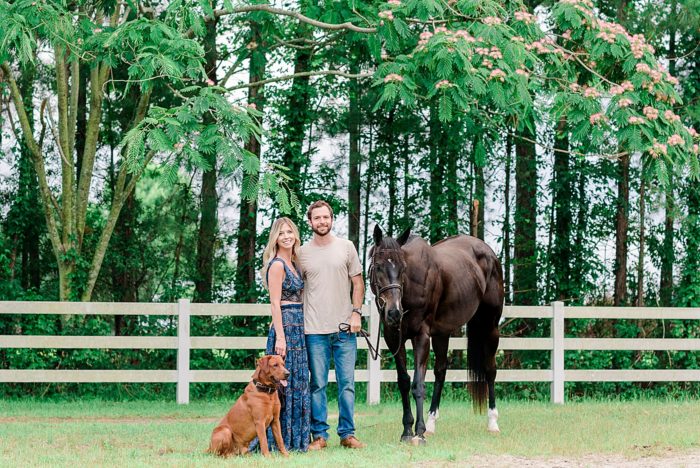 family photos with horse and dog