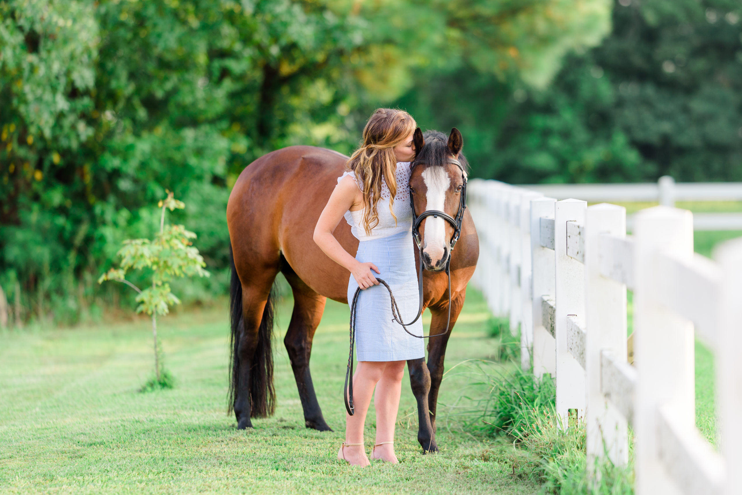 specializing in equine photography