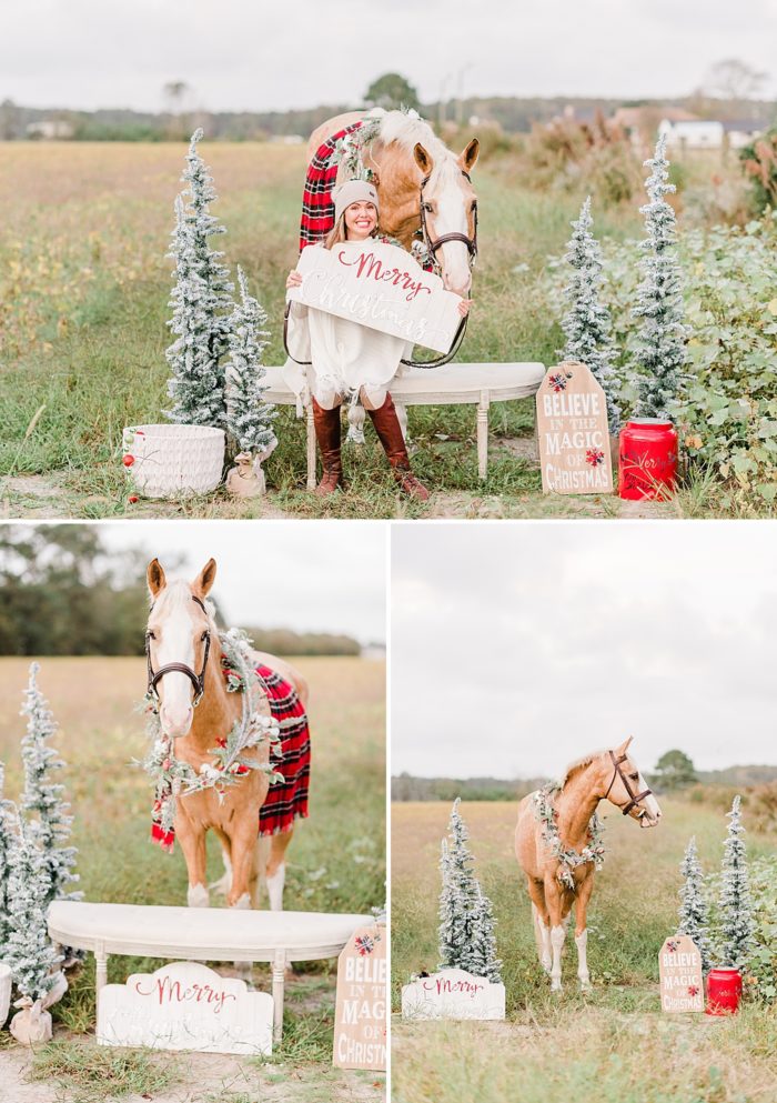 Equestrian Christmas Mini