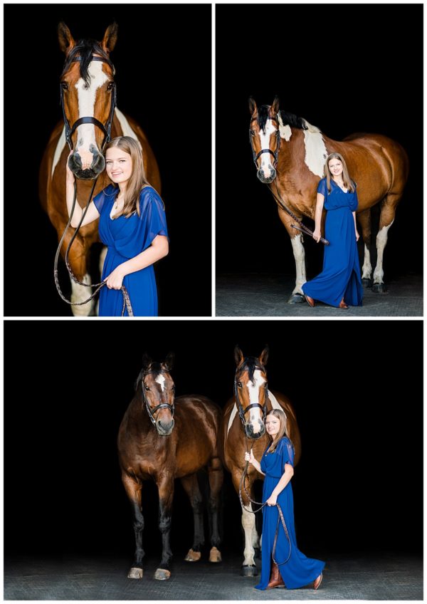 Chesterfield Equine Photographer