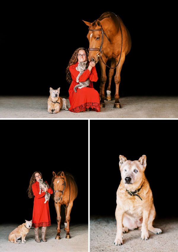 Virginia Beach Horse & Dog Photographer