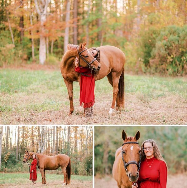 Virginia Beach Horse & Dog Photographer