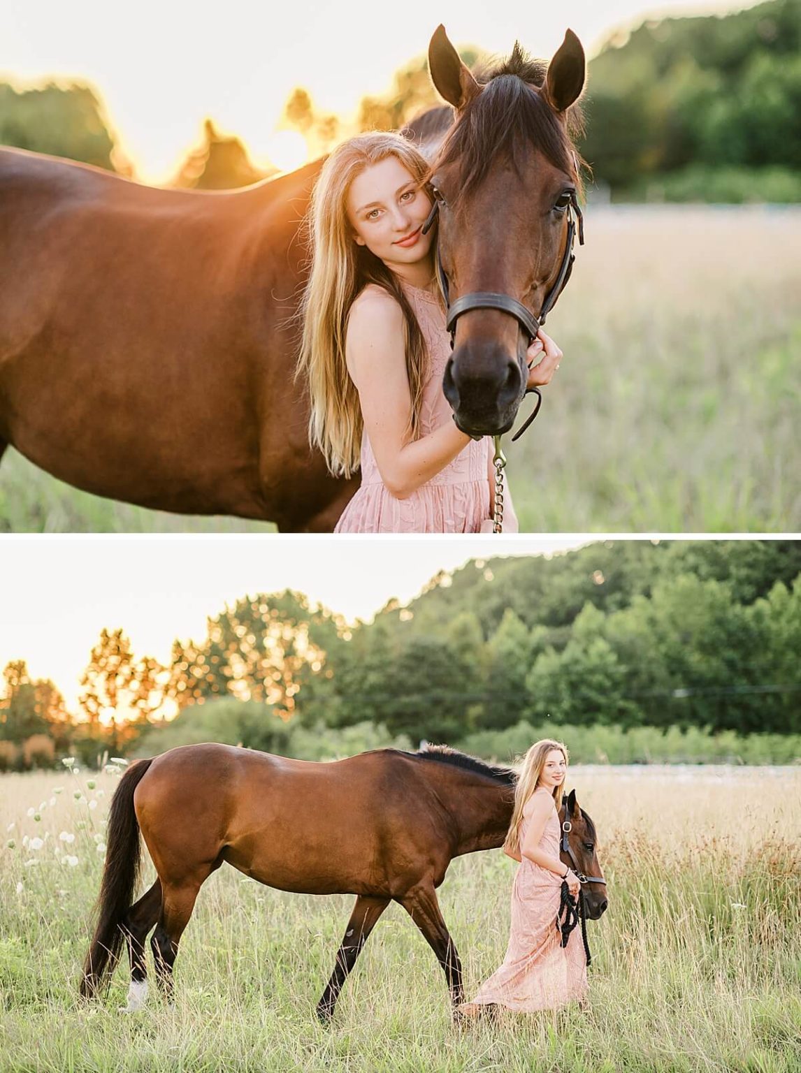 Virginia Equine Photographer | Izzy & Belle Equestrian Session