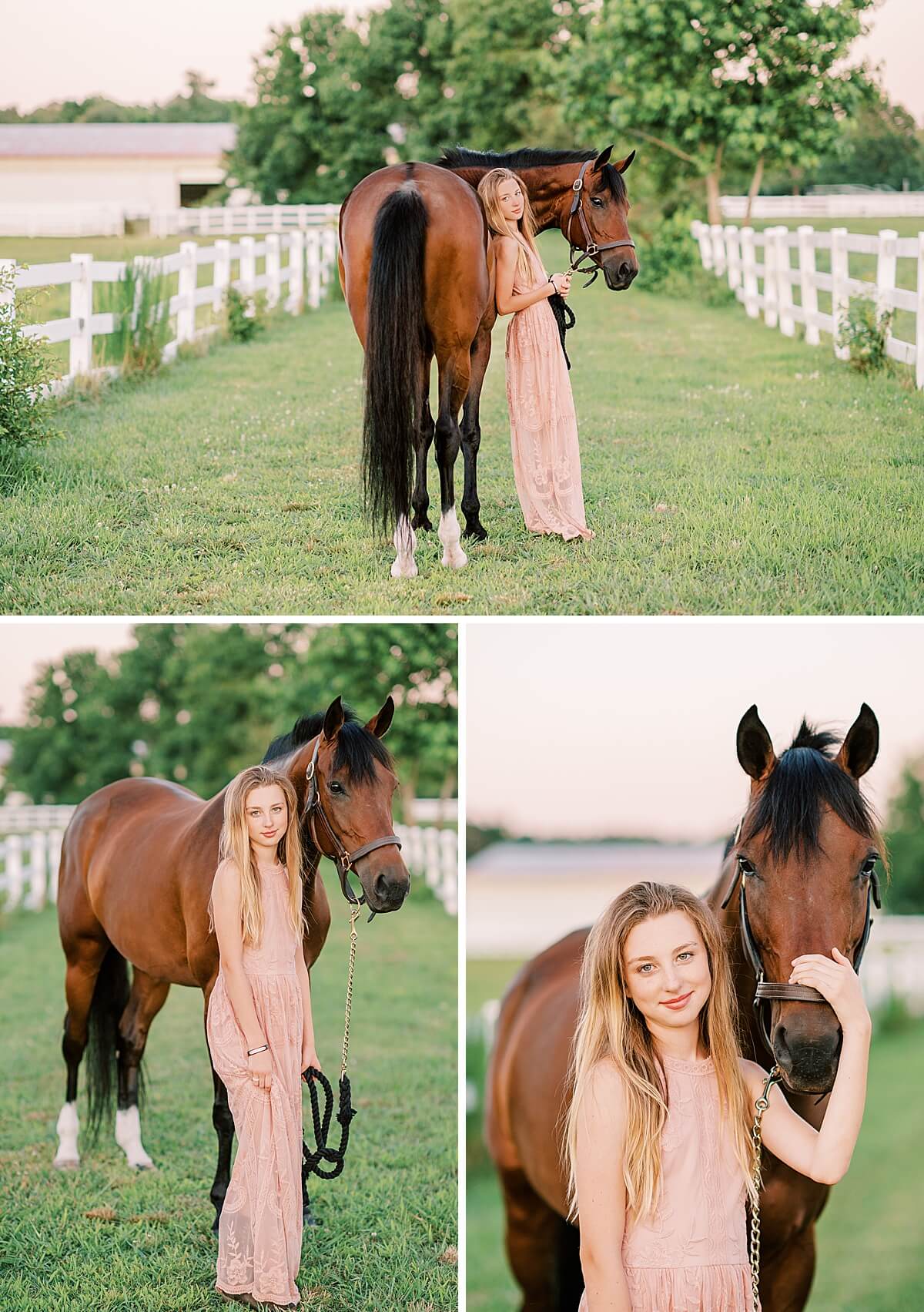 Virginia Equine Photographer | Izzy & Belle Equestrian Session