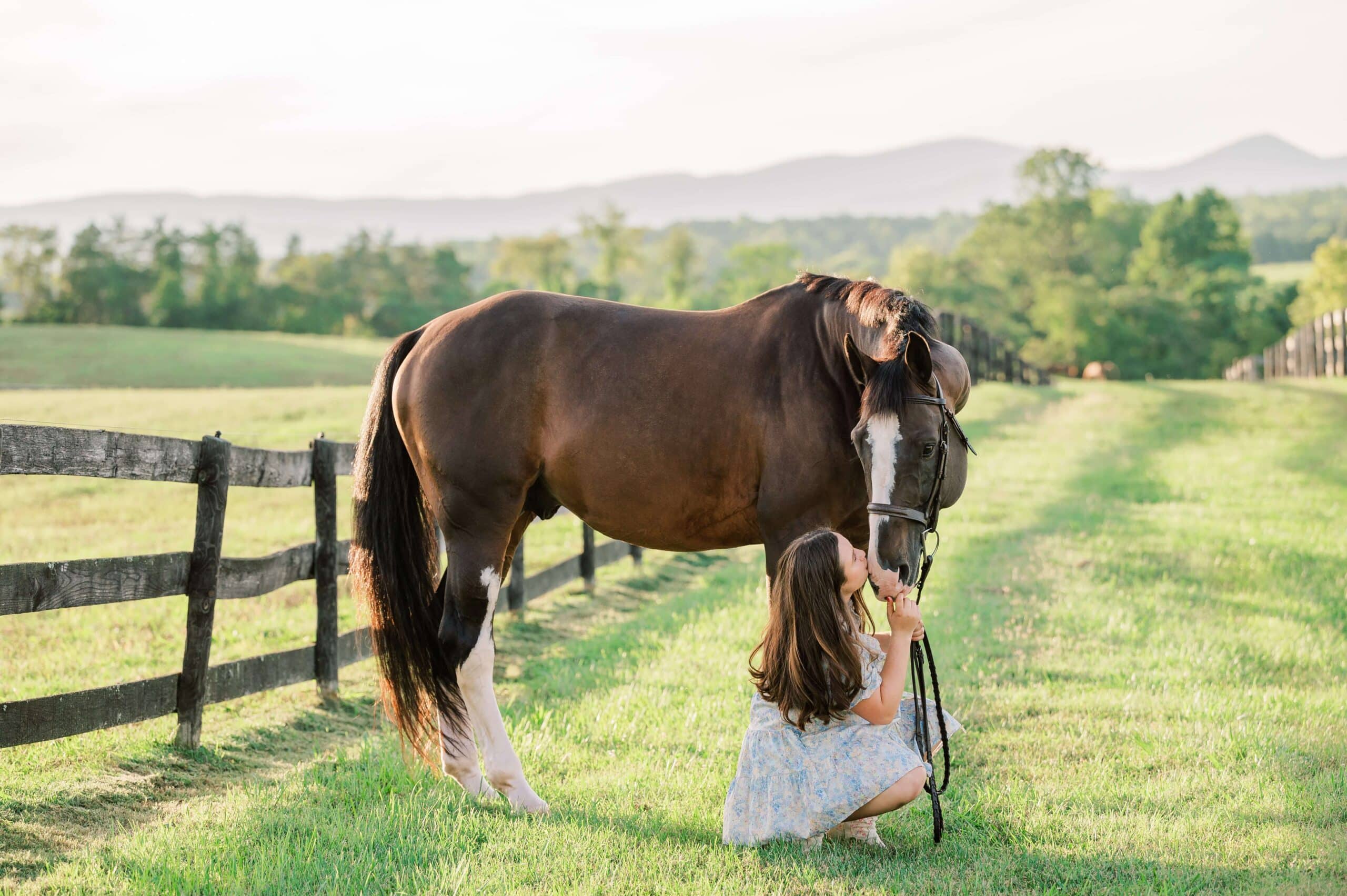 charlottesville equine photographer